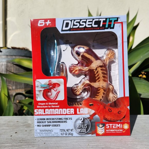 Dissect it Toys New Dissectit Synthetic Lab Dissection Toy Stem Kit Craft Project